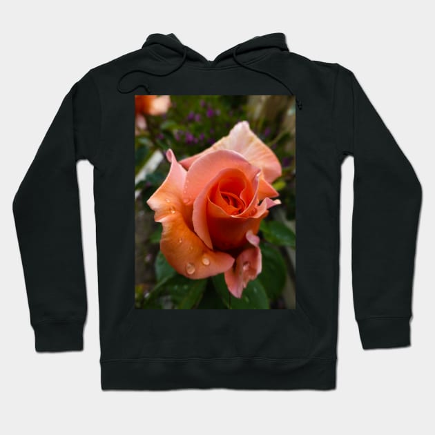 The Orange Rose with Dew Hoodie by PictureNZ